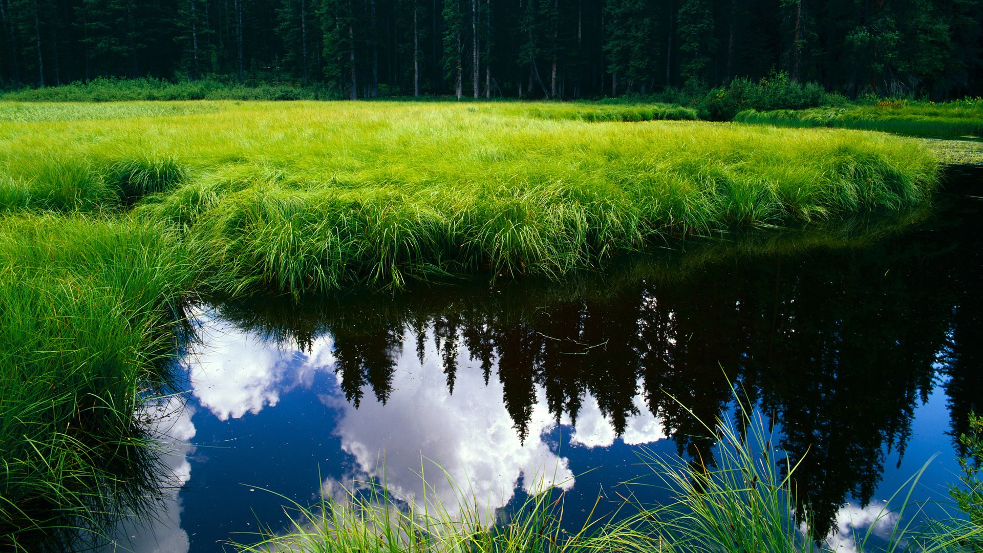 Kaiyun(中国)开云-数据分析揭示球队进攻防守特点,分析进攻防守的足球app