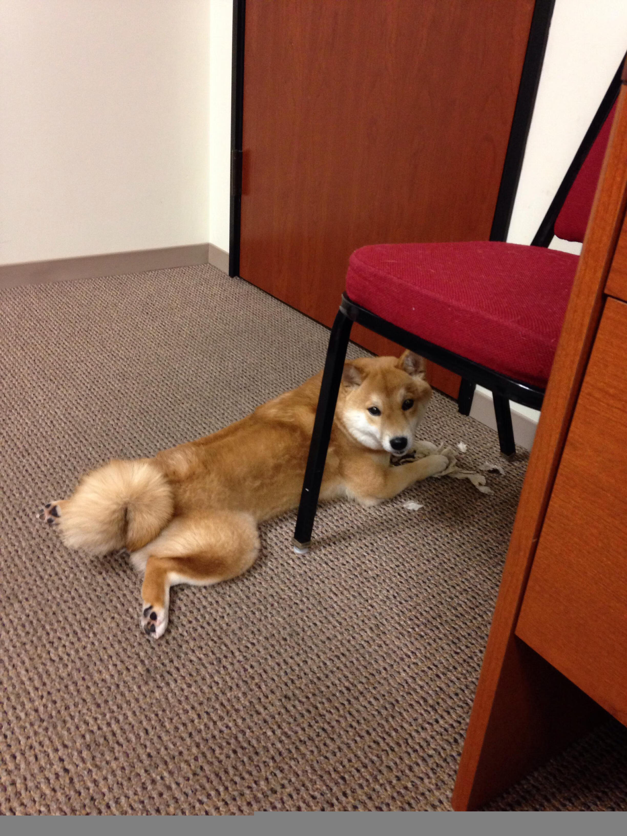 Kaiyun(中国)开云-数据分析揭示球队进攻防守特点,分析进攻防守的足球app