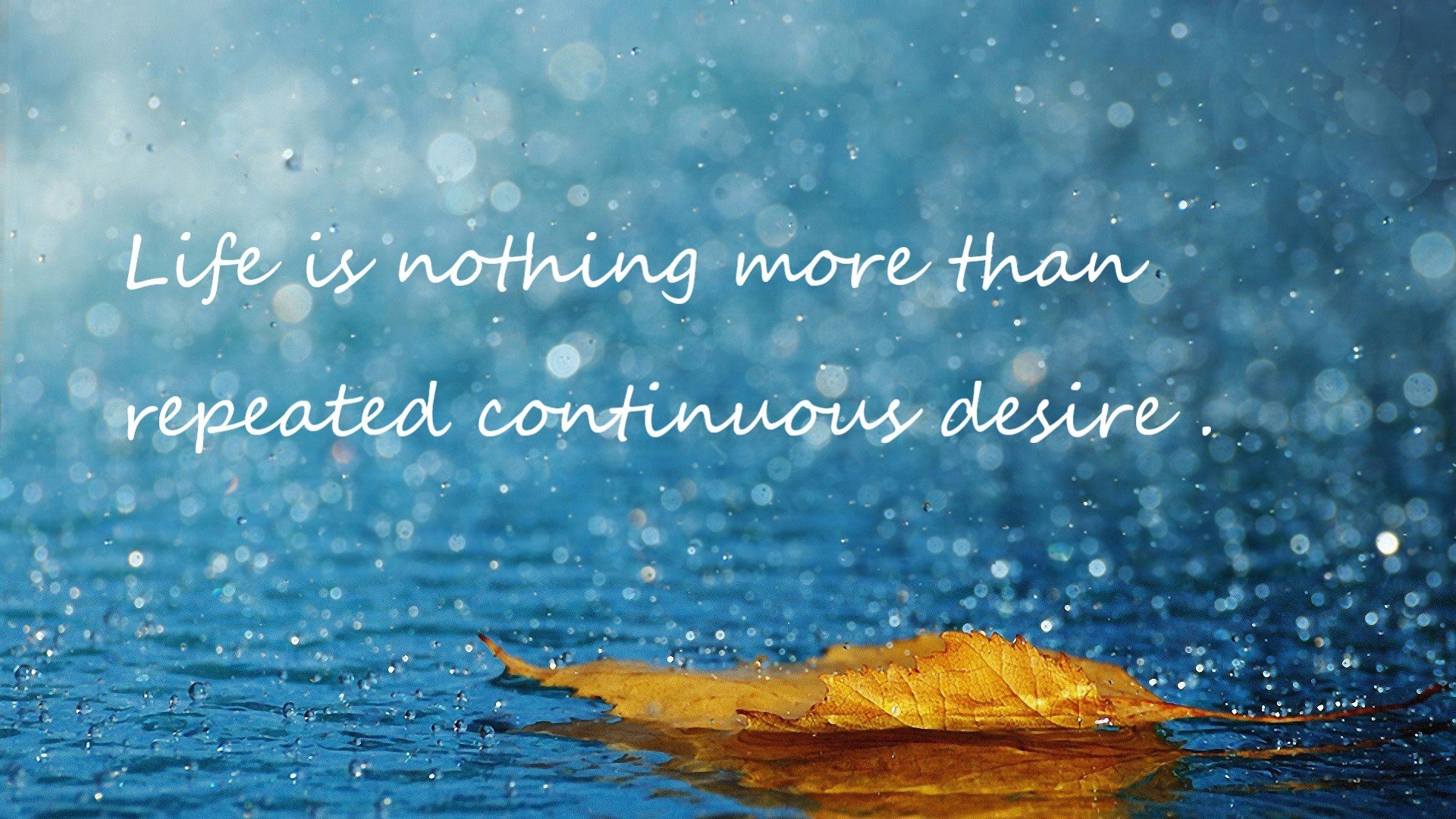 开云官网登录-明日方舟“未来之战”超级联赛激烈角逐,明日方舟2021计划