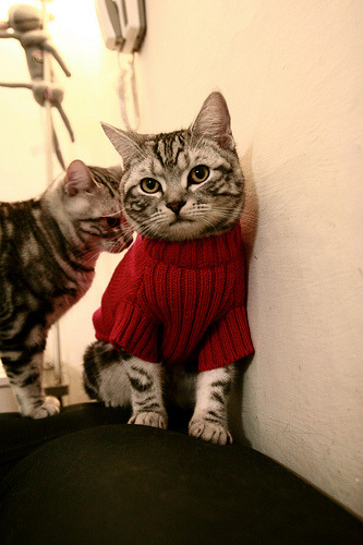 kaiyun-2024年NBA裁判判罚细则：新规则带来哪些变化？，nba裁判14号