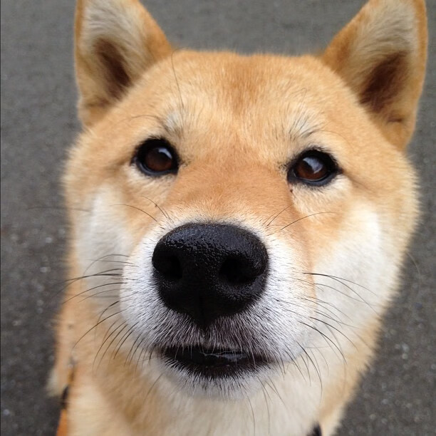 Kaiyun APP-NBA官方宣布2025赛季全新比赛规则即将实施，今年nba赛制