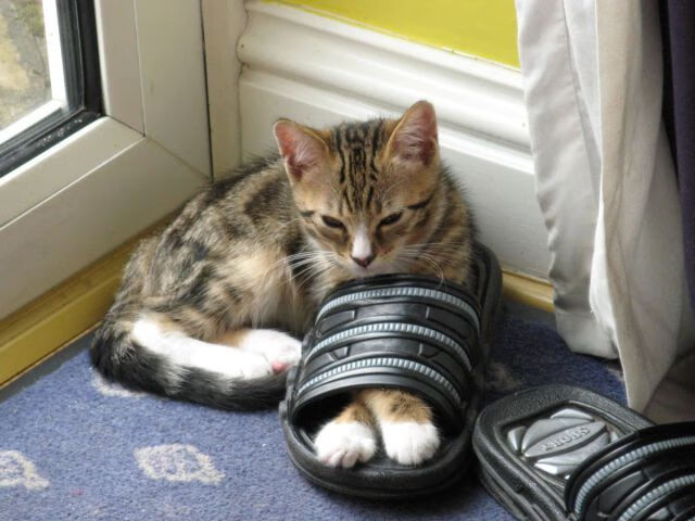 kaiyun登录入口-“体育总局支持青少年足球赛事，全国掀起足球热潮”，全国青少年足球工作领导小组办公室