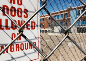 开云体育官方网入口-青少年安全教育模式，青少年安全教育模式是什么