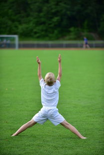 开云esports-高校运动训练计划动态调整机制研究，运动训练调控